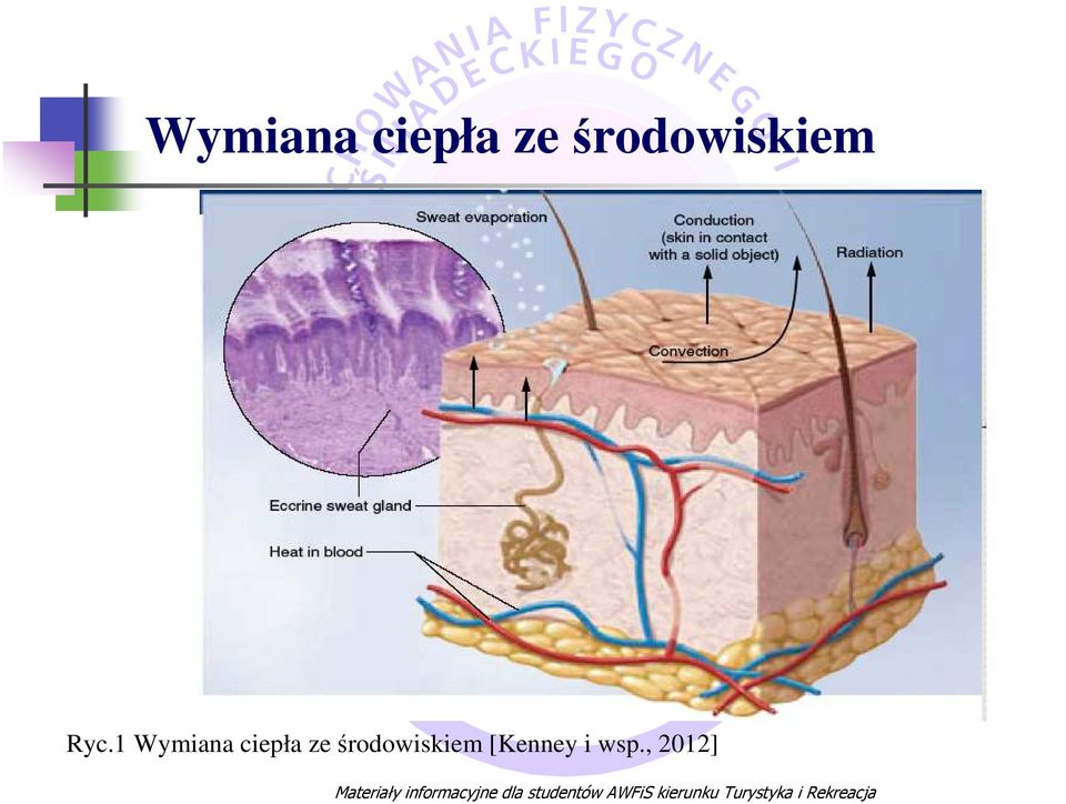 1  środowiskiem