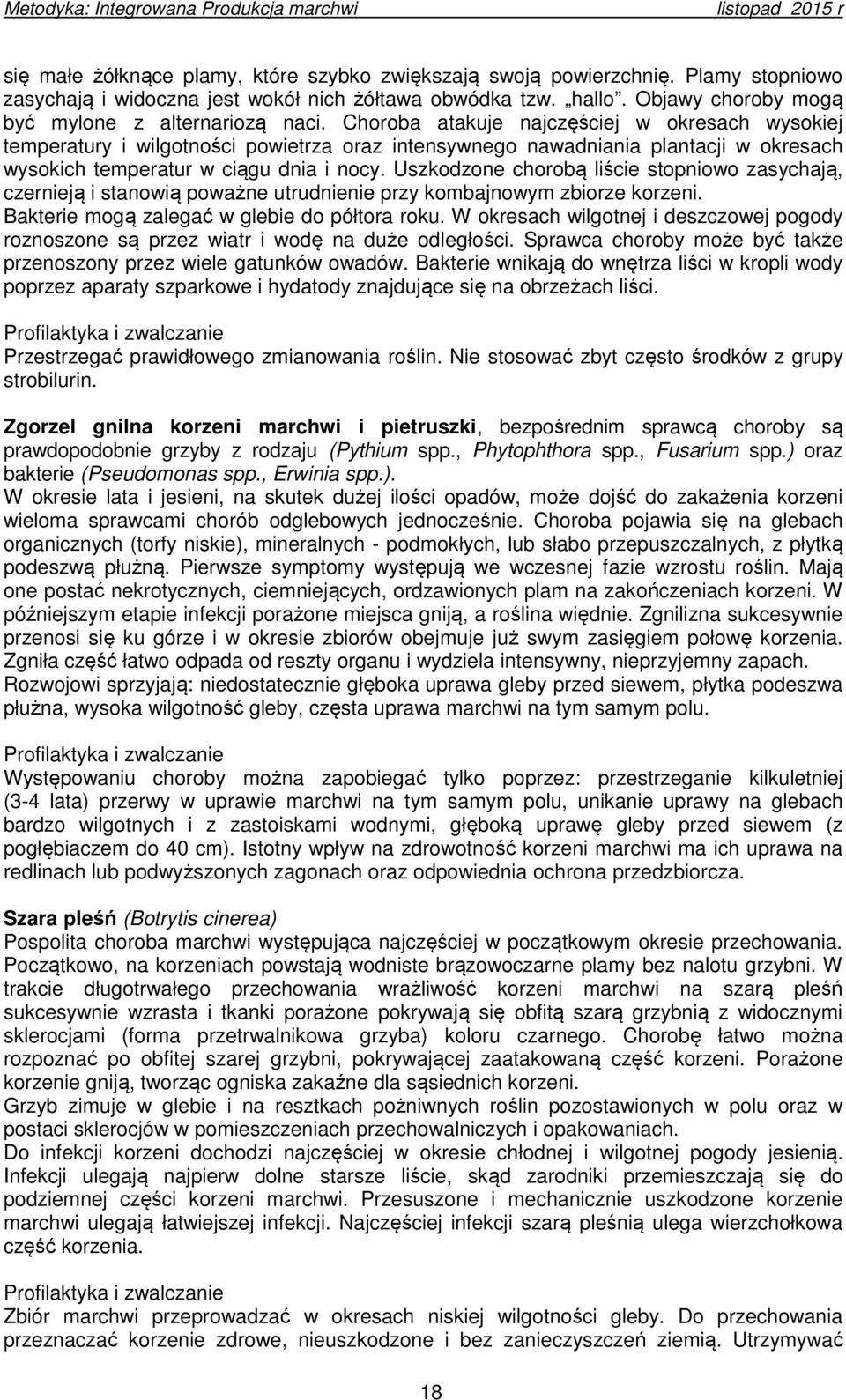 Choroba atakuje najczęściej w okresach wysokiej temperatury i wilgotności powietrza oraz intensywnego nawadniania plantacji w okresach wysokich temperatur w ciągu dnia i nocy.