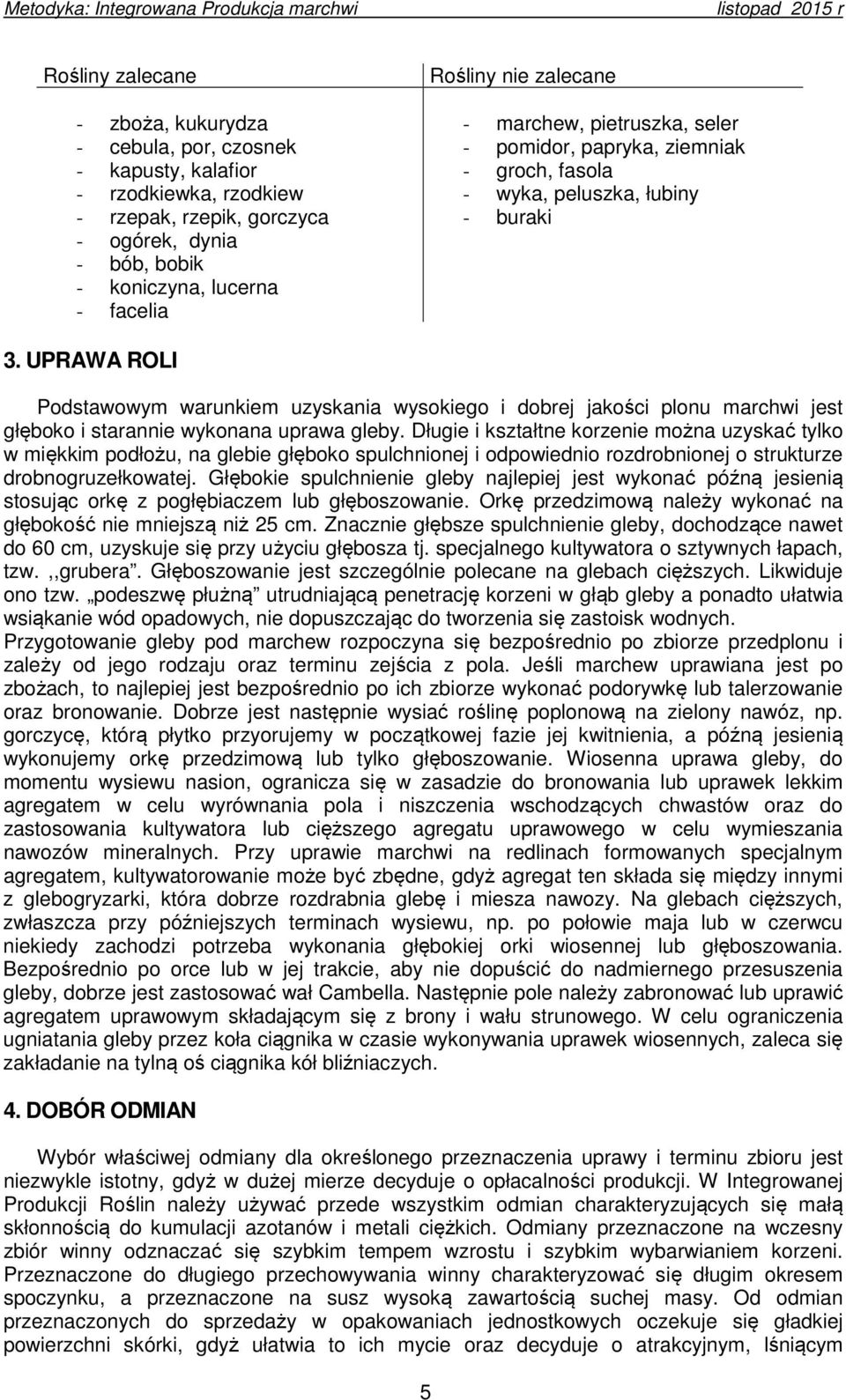 UPRAWA ROLI Podstawowym warunkiem uzyskania wysokiego i dobrej jakości plonu marchwi jest głęboko i starannie wykonana uprawa gleby.