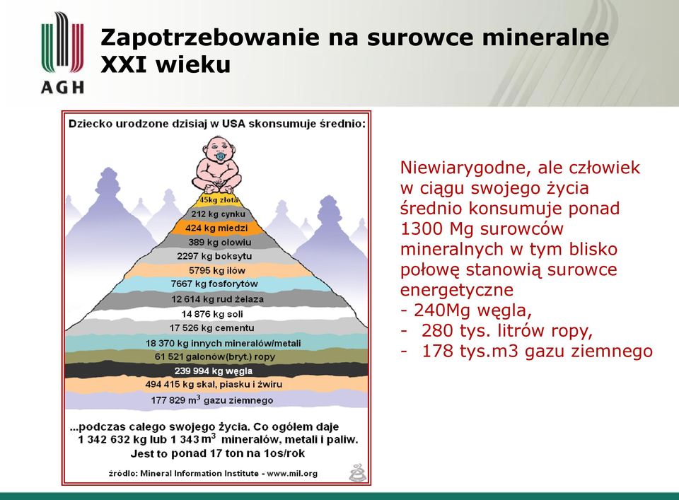 surowców mineralnych w tym blisko połowę stanowią surowce