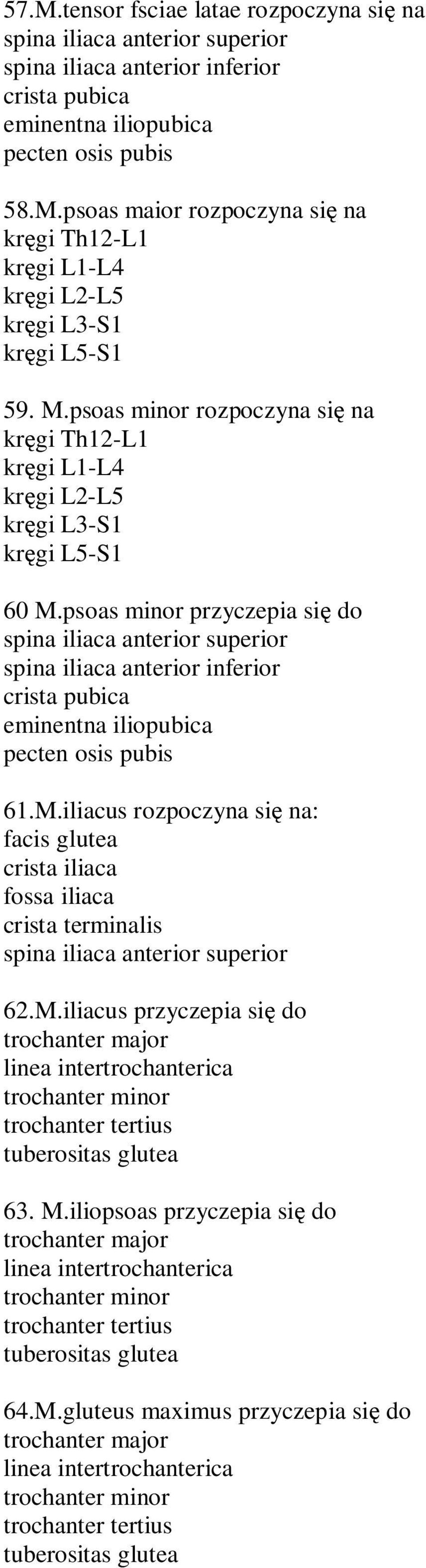 psoas minor przyczepia si do spina iliaca anterior superior spina iliaca anterior inferior crista pubica eminentna iliopubica pecten osis pubis 61.M.