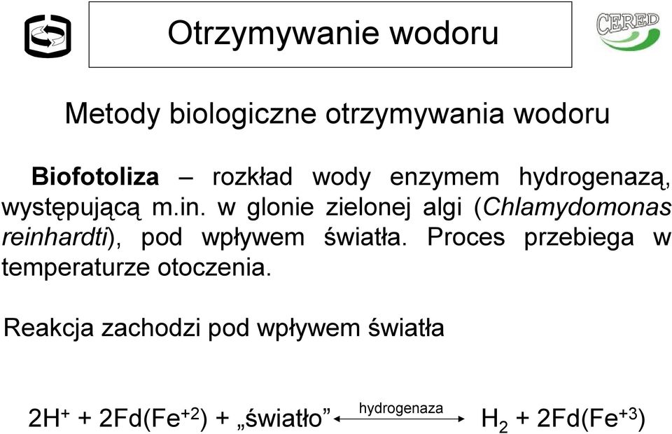 w glonie zielonej algi (Chlamydomonas reinhardti), pod wpływem światła.