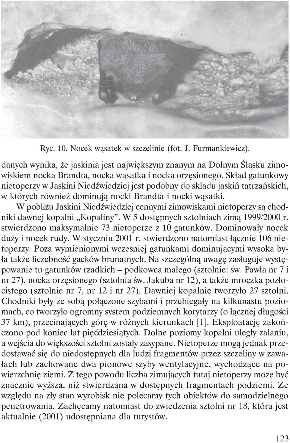 W pobliżu Jaskini Niedźwiedziej cennymi zimowiskami nietoperzy są chodniki dawnej kopalni Kopaliny. W 5 dostępnych sztolniach zimą 1999/2000 r. stwierdzono maksymalnie 73 nietoperze z 10 gatunków.