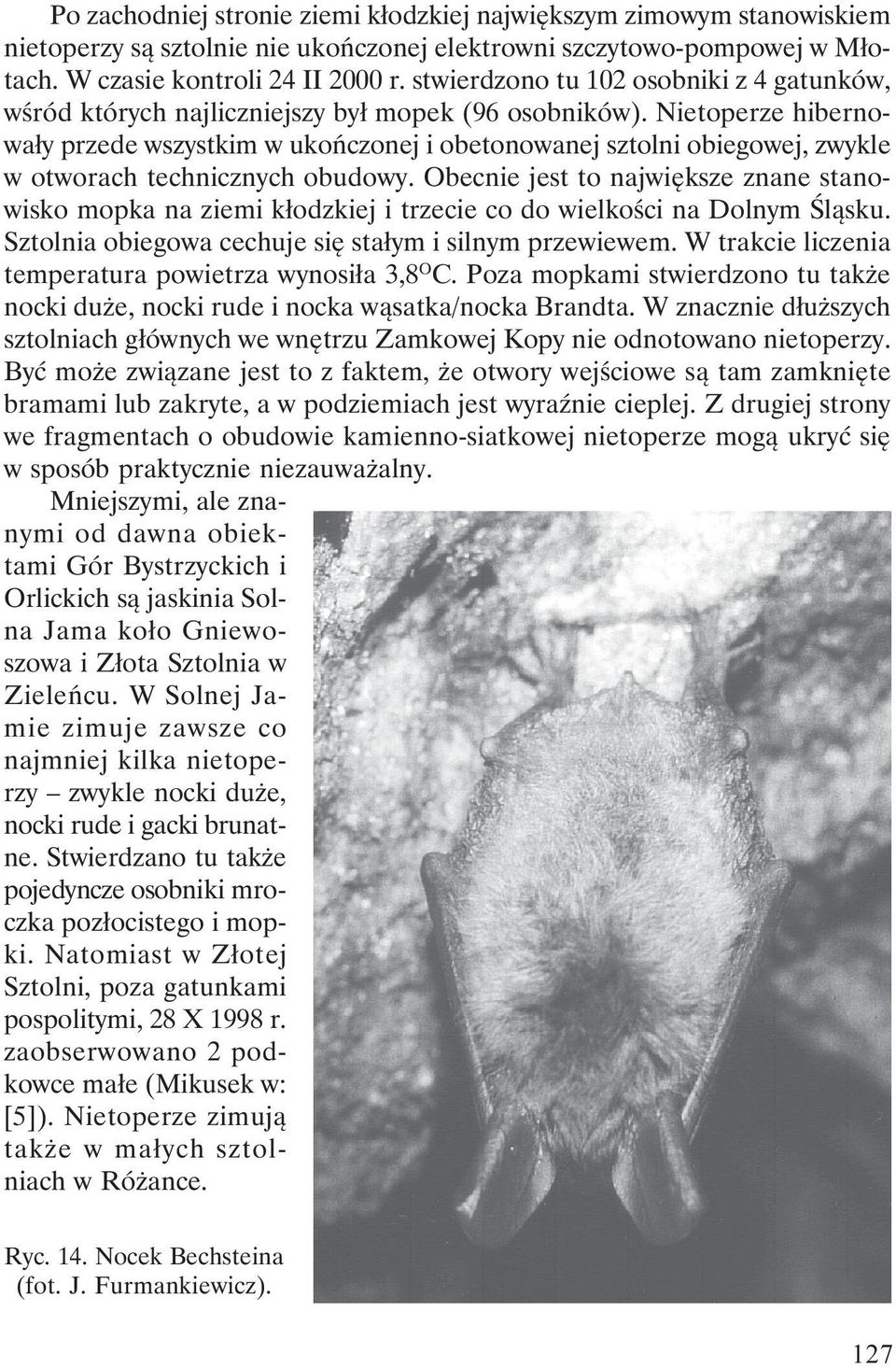 Nietoperze hibernowały przede wszystkim w ukończonej i obetonowanej sztolni obiegowej, zwykle w otworach technicznych obudowy.