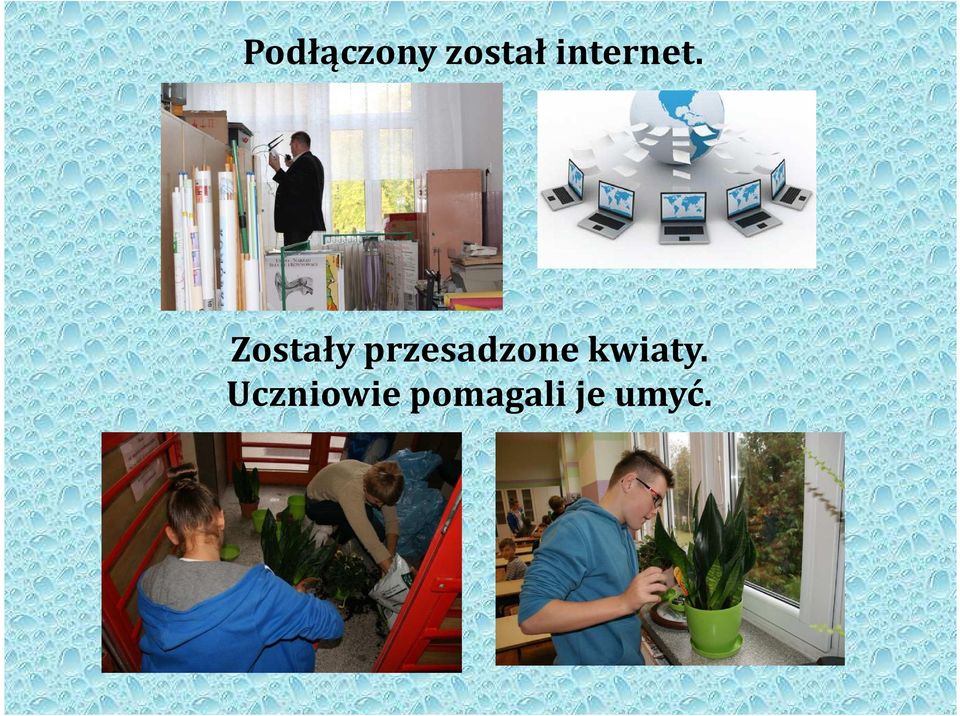 Zostały przesadzone