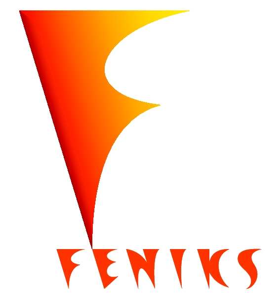FENIKS - długofalowy program odbudowy, popularyzacji i wspomagania fizyki w szkołach w celu rozwijania podstawowych kompetencji naukowo-technicznych, matematycznych i informatycznych uczniów Ładunki,