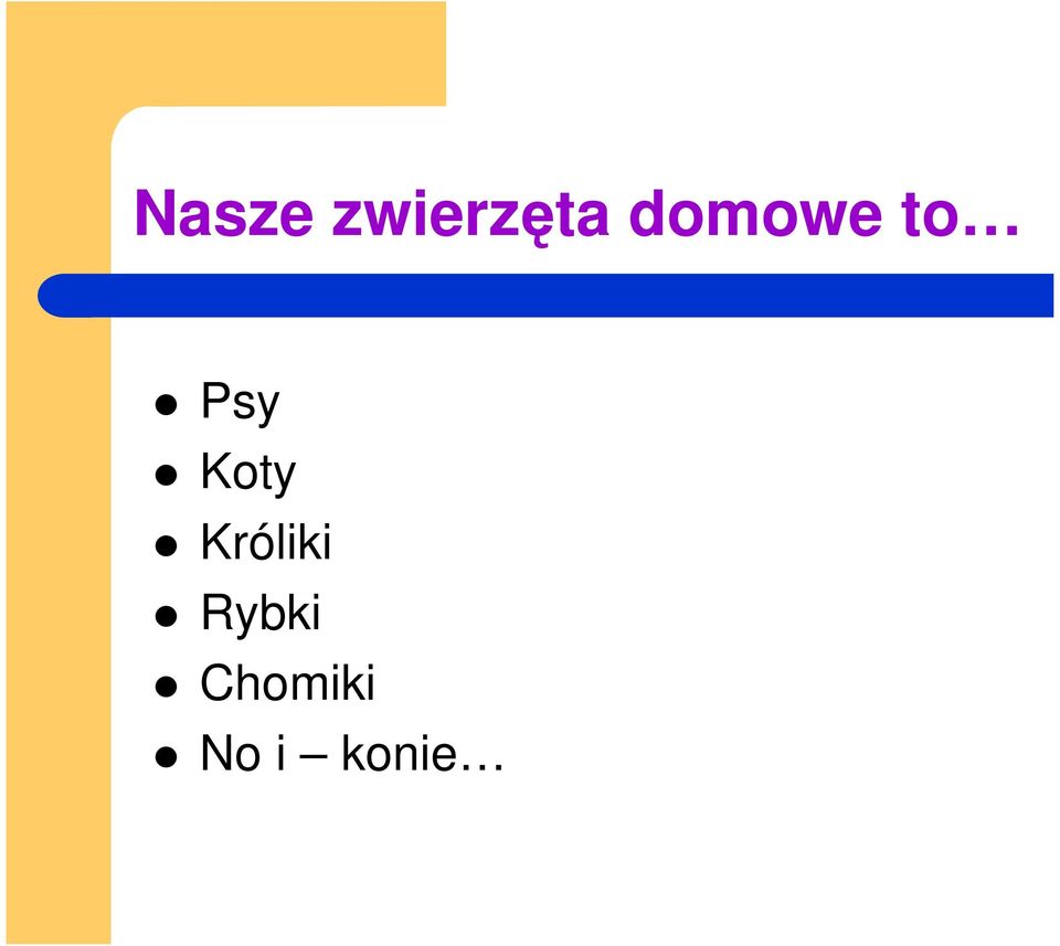 Koty Króliki