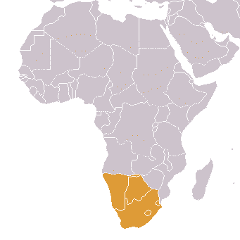 Integracja w gospodarce światowej Afryka CEEAC (Wspólnota Ekonomiczna Państw Afryki Centralnej), 10 państw Cel: utworzenie wolnego rynku.