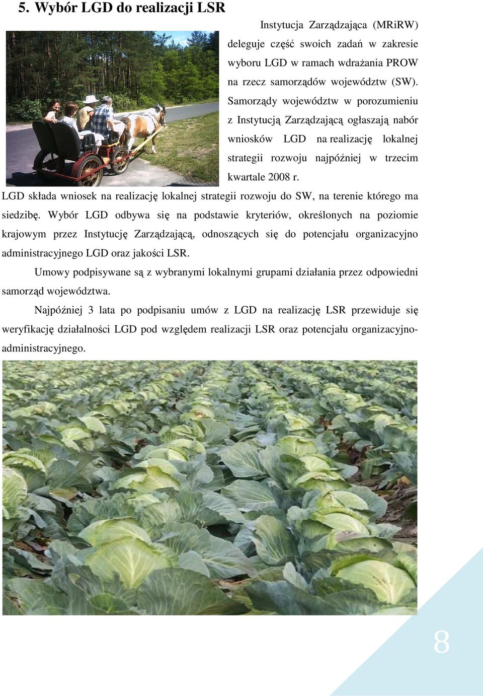 LGD składa wniosek na realizację lokalnej strategii rozwoju do SW, na terenie którego ma siedzibę.