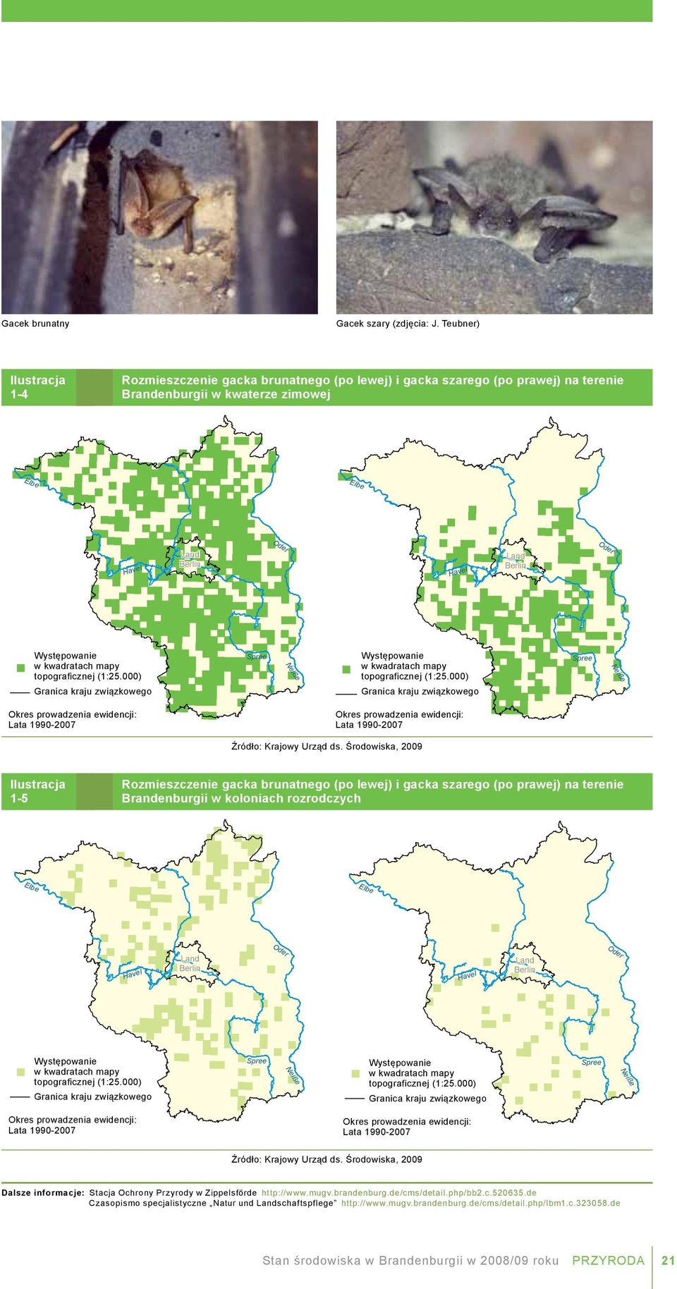 Występowanie Vorkommen im w kwadratach mapy Messtischblattquadranten topograficznej (1:25.