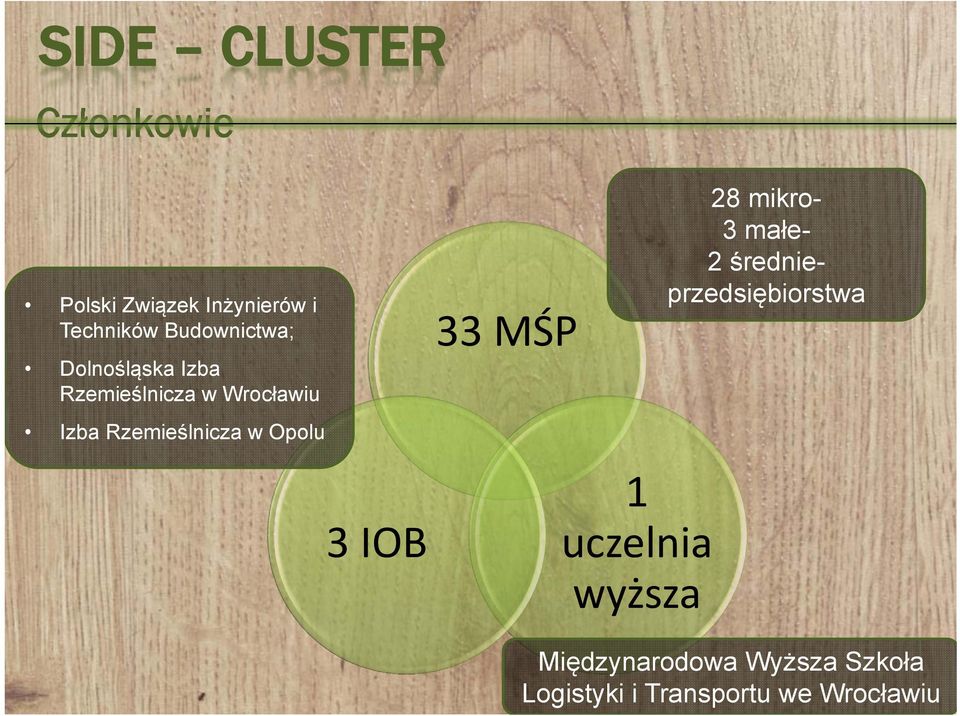 Opolu 3 IOB 33 MŚP 1 uczelnia wyższa 28 mikro- 3 małe- 2