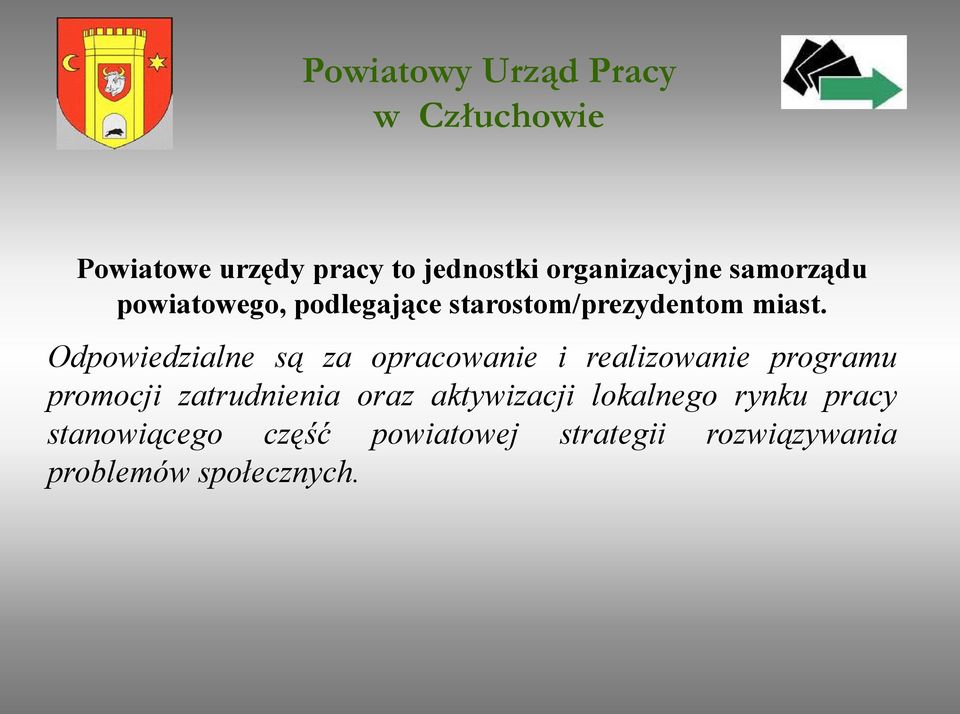 Odpowiedzialne są za opracowanie i realizowanie programu promocji