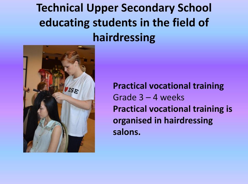vocational training Grade 3 4 weeks Practical