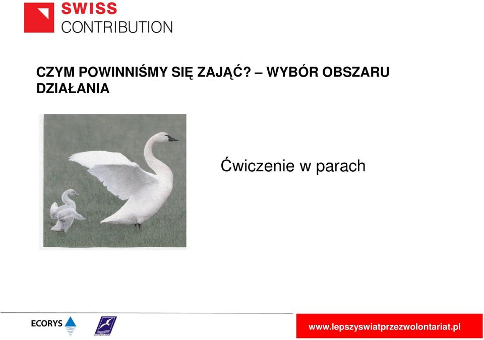 WYBÓR OBSZARU