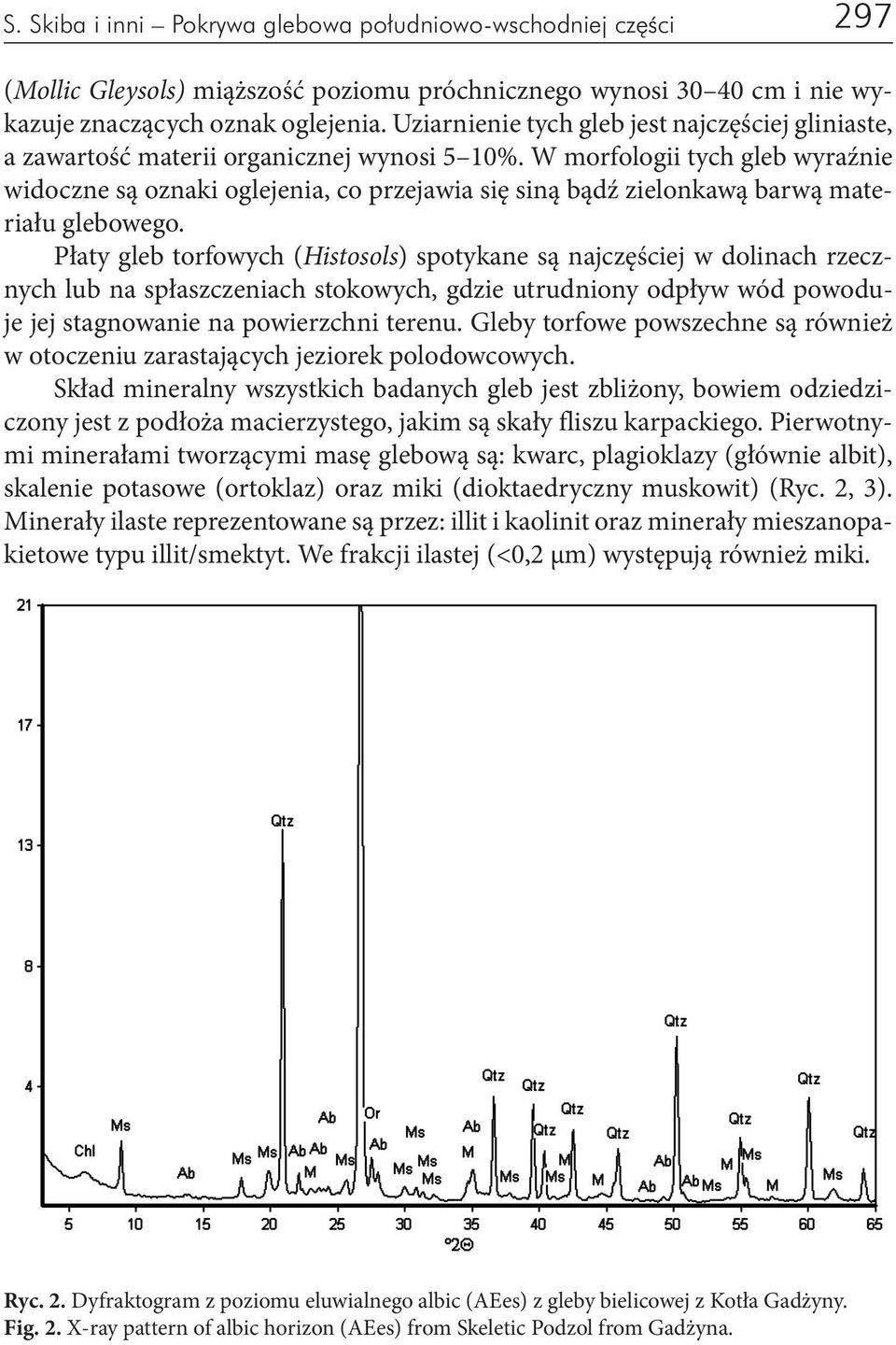 W morfologii tych gleb wyraźnie widoczne są oznaki oglejenia, co przejawia się siną bądź zielonkawą barwą materiału glebowego.