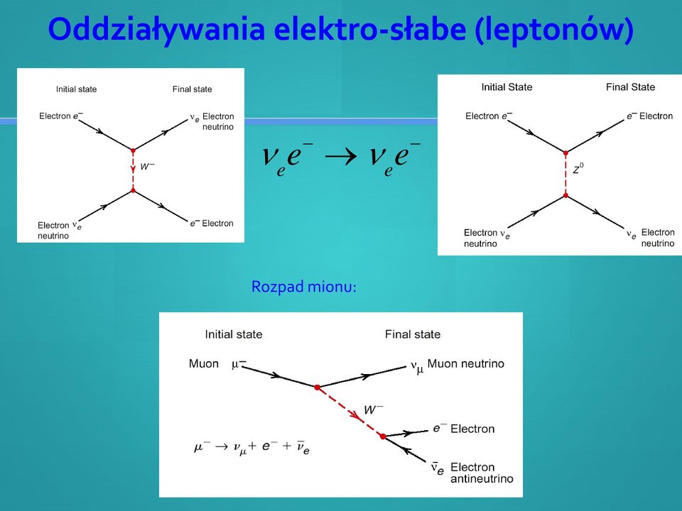 (leptonów) ν e