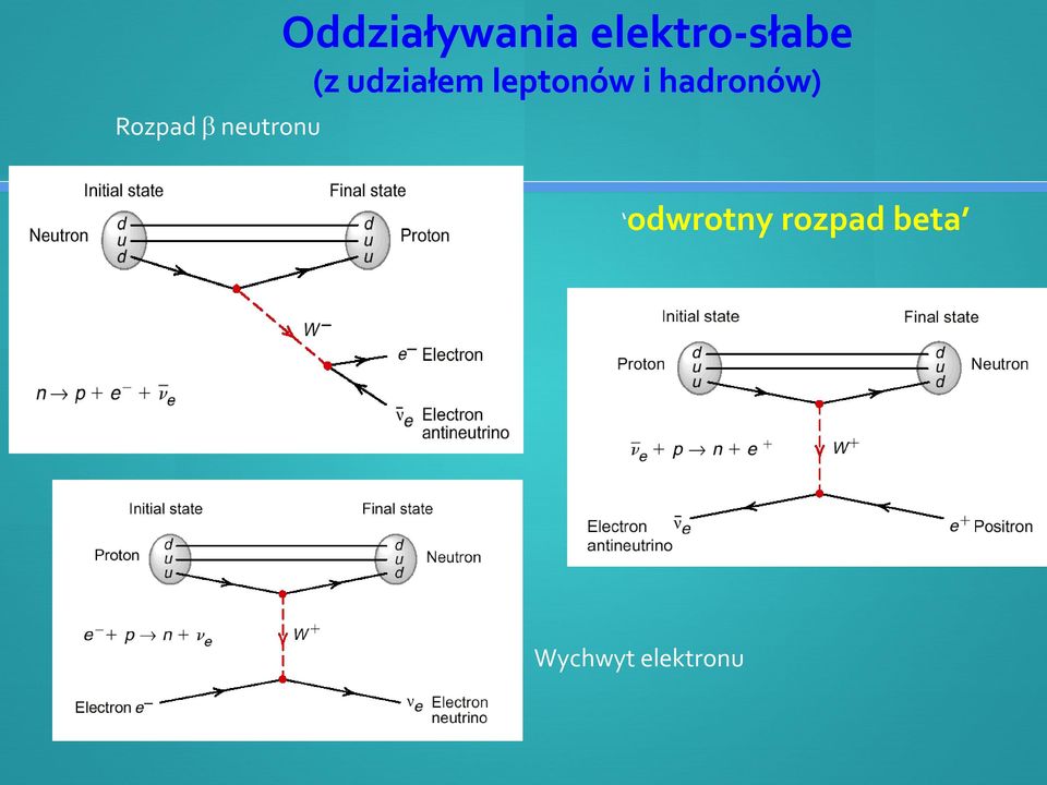 (z udziałem leptonów i