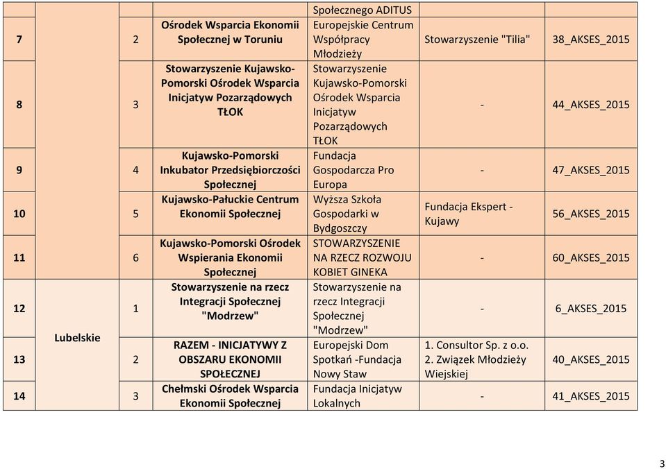 Kujawsko-Pomorski Ośrodek Wsparcia Inicjatyw TŁOK Fundacja Gospodarcza Pro Europa Wyższa Szkoła Gospodarki w Bydgoszczy STOWARZYSZENIE NA RZECZ ROZWOJU KOBIET GINEKA na rzecz Integracji "Modrzew"