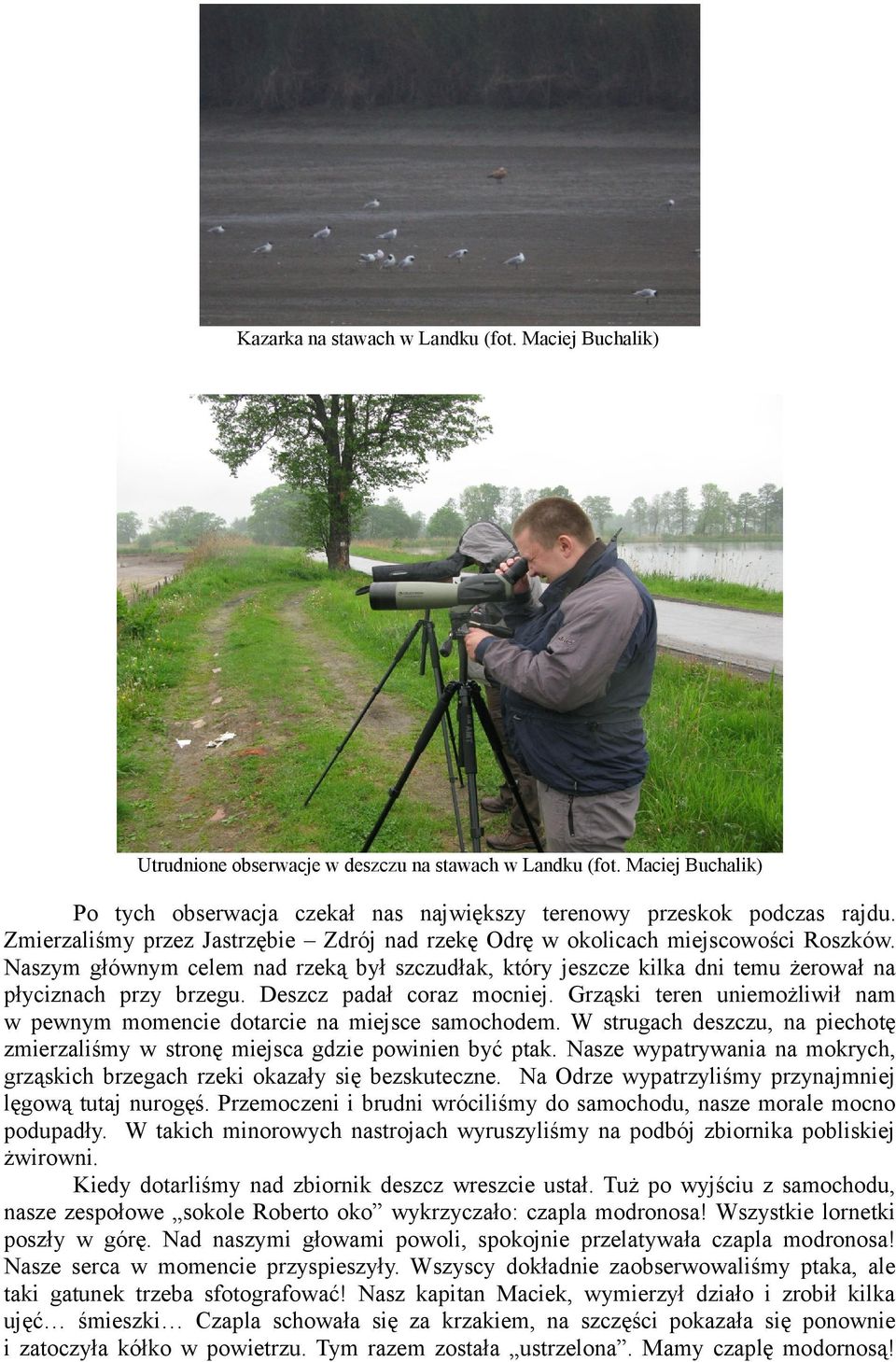 Deszcz padał coraz mocniej. Grząski teren uniemożliwił nam w pewnym momencie dotarcie na miejsce samochodem. W strugach deszczu, na piechotę zmierzaliśmy w stronę miejsca gdzie powinien być ptak.