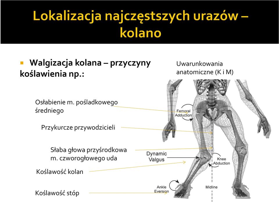 pośladkowego średniego Przykurcze przywodzicieli Słaba