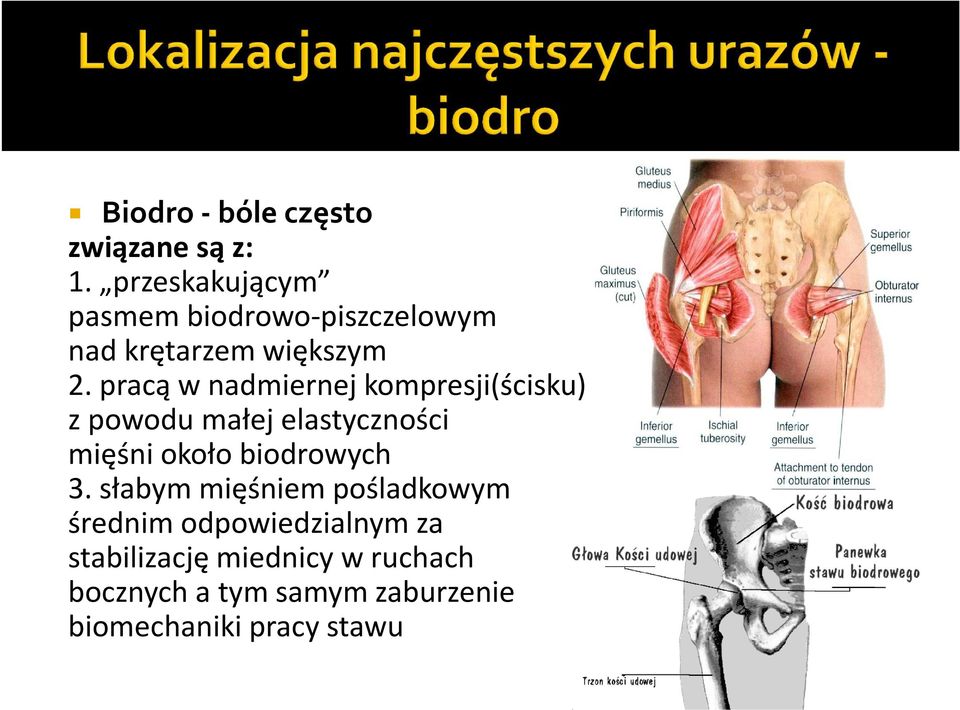 pracą w nadmiernej kompresji(ścisku) z powodu małej elastyczności mięśni około