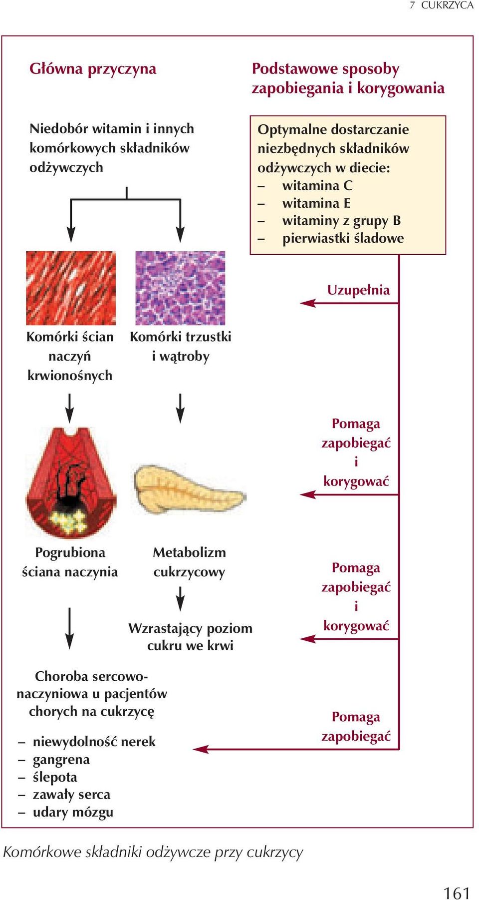 trzustki i w¹troby Pomaga zapobiegaæ i korygowaæ Pogrubiona œciana naczynia Choroba sercowonaczyniowa u pacjentów chorych na cukrzycê niewydolnoœæ nerek gangrena