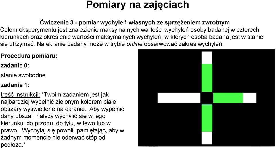 Procedura pomiaru: zadanie 0: stanie swobodne zadanie 1: treść instrukcji: Twoim zadaniem jest jak najbardziej wypełnić zielonym kolorem białe obszary wyświetlone na ekranie.