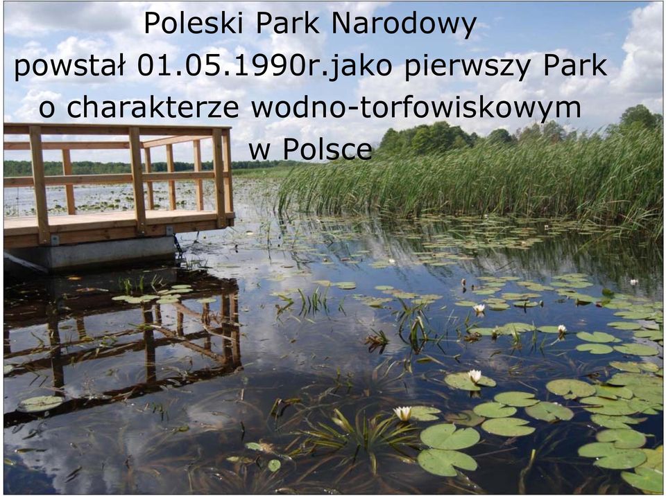 jako pierwszy Park o