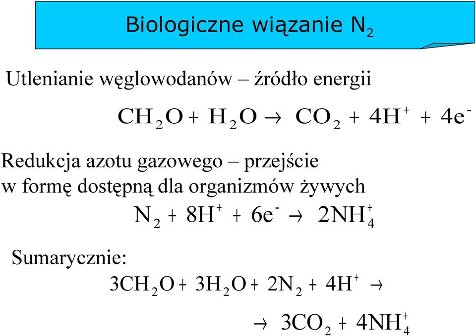 w formę dostępną dla organizmów żywych + N 2 + 8H + 6e 2 NH - +