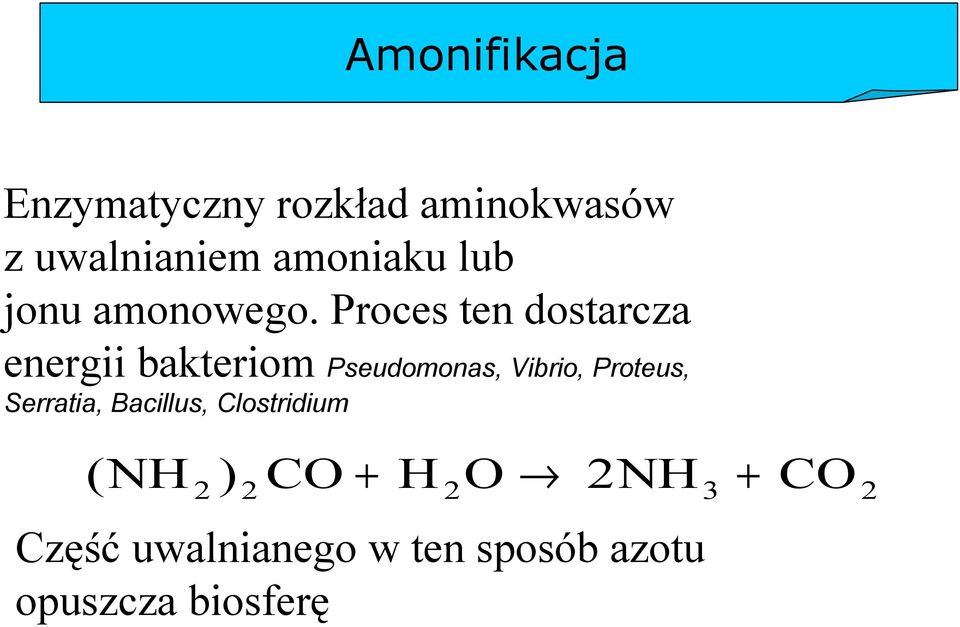 Proces ten dostarcza energii bakteriom Pseudomonas, Vibrio, Proteus,