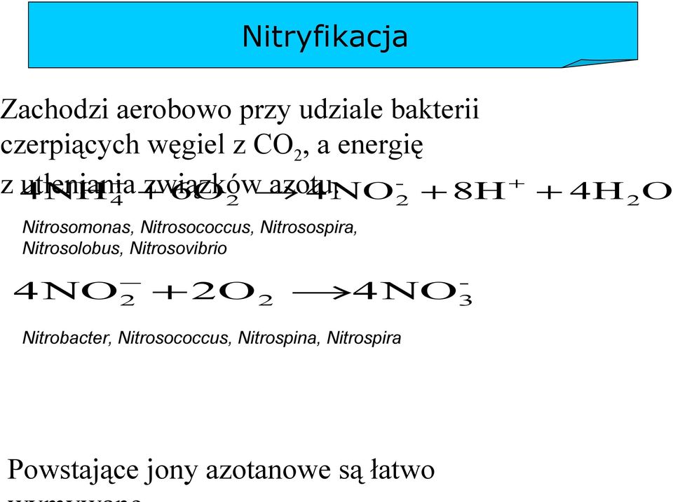 NH + + 6 O 4 NO + 8 H + 4H 2O 4 2 2 Nitrosomonas, Nitrosococcus, Nitrosospira,