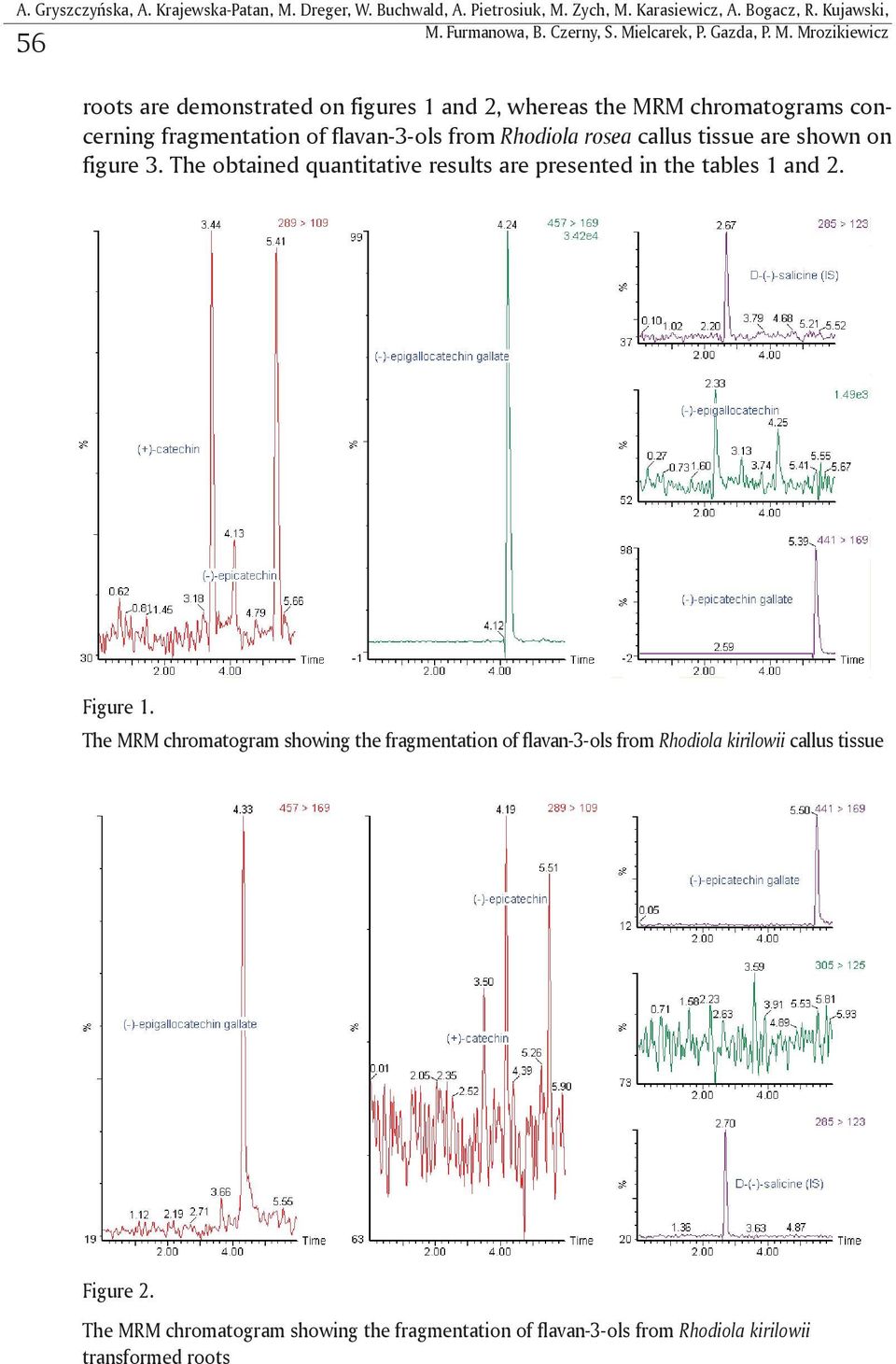 Mrozikiewicz 56 roots are demonstrated on figures 1 and 2, whereas the MRM chromatograms concerning fragmentation of flavan-3-ols from Rhodiola rosea callus tissue