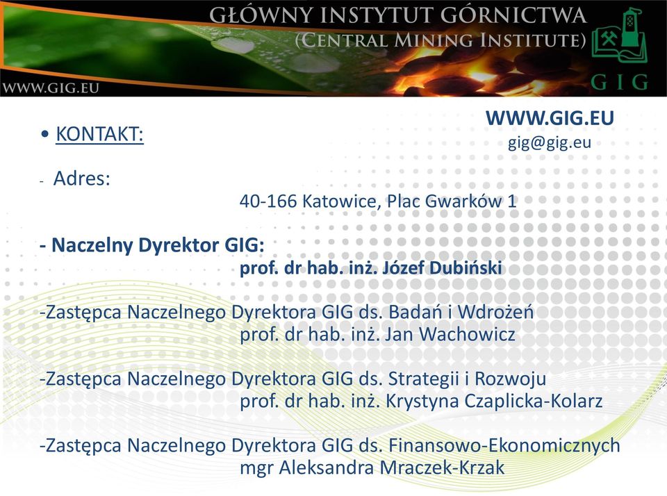 Strategii i Rozwoju prof. dr hab. inż. Krystyna Czaplicka-Kolarz -Zastępca Naczelnego Dyrektora GIG ds.