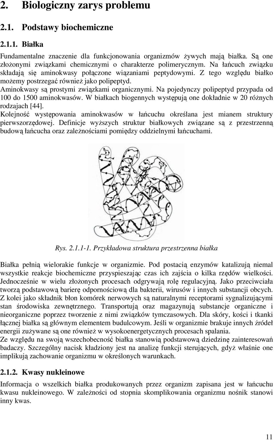 Na pojedynczy polpeptyd przypada od 100 do 1500 amnokwasów. W bałkach bogennych występją one dokładne w 20 różnych rodzajach [44].