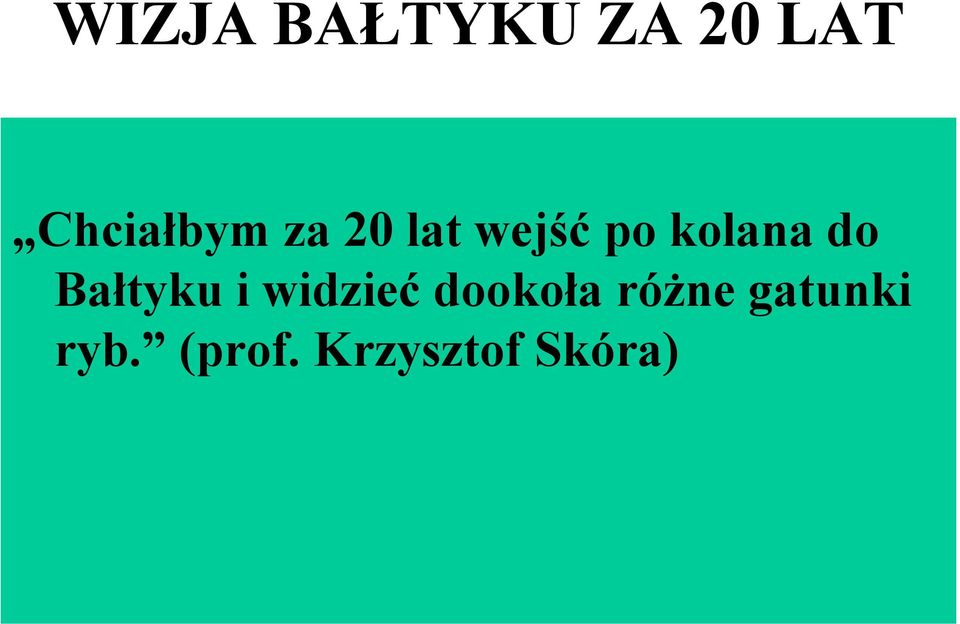 kolana do Bałtyku i widzieć