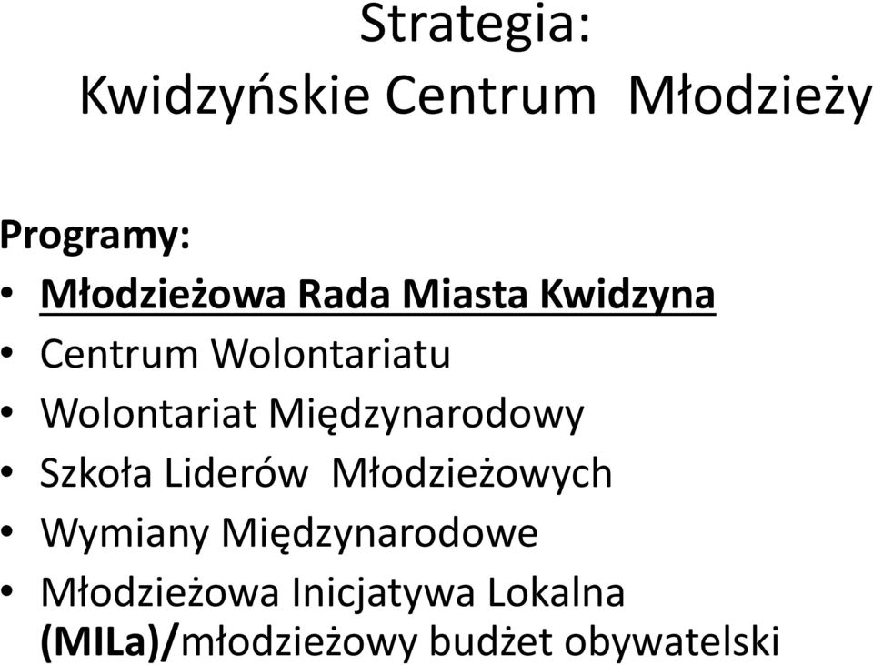 Międzynarodowy Szkoła Liderów Młodzieżowych Wymiany