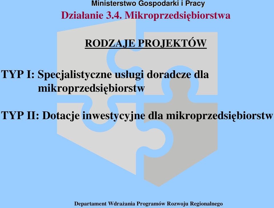 TYP I: Specjalistyczne us ugi doradcze dla