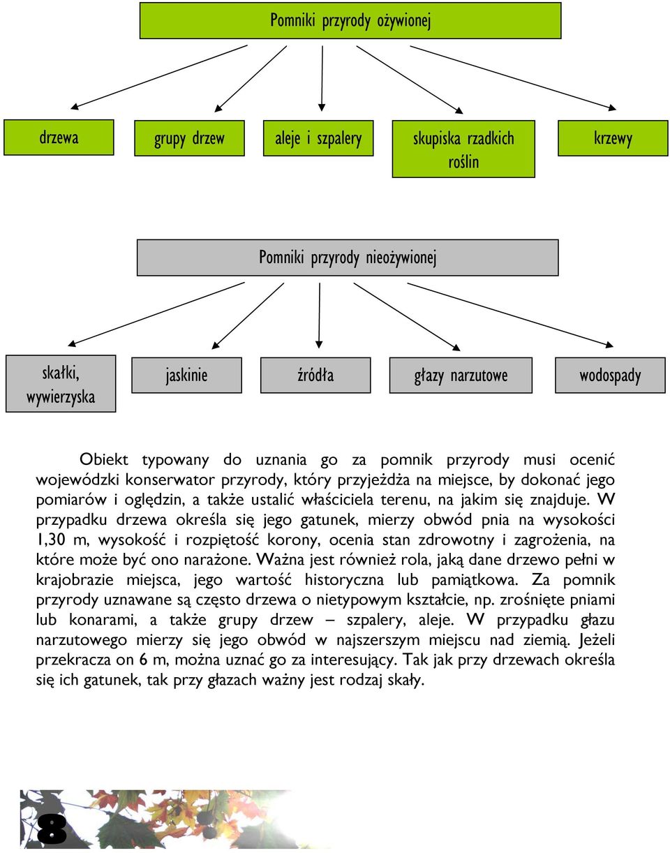 się znajduje. W przypadku drzewa określa się jego gatunek, mierzy obwód pnia na wysokości 1,30 m, wysokość i rozpiętość korony, ocenia stan zdrowotny i zagrożenia, na które może być ono narażone.