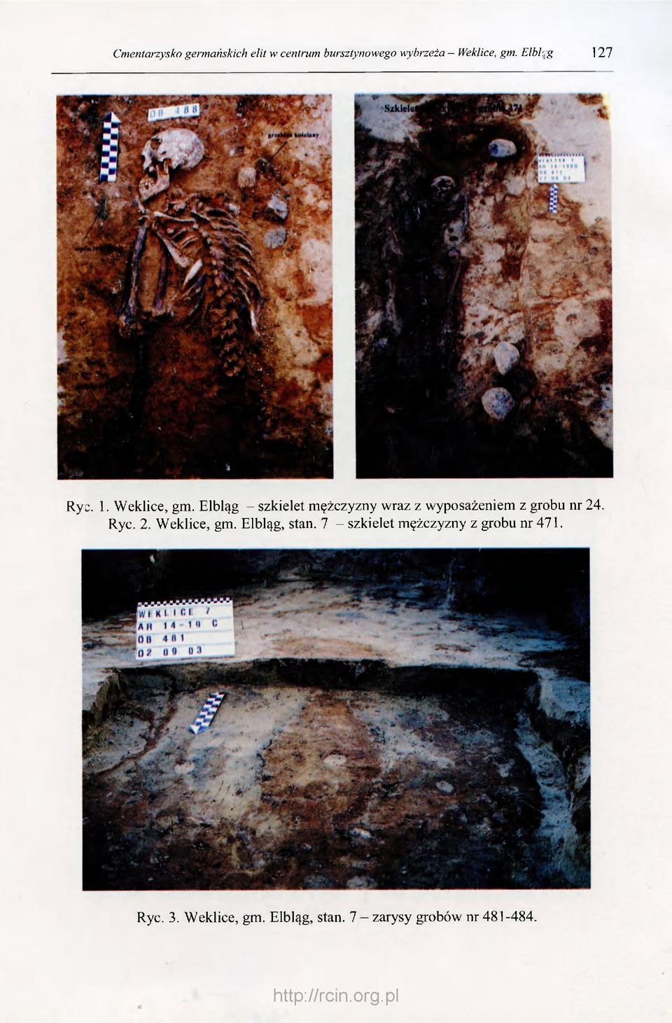 Elbląg - szkielet mężczyzny wraz z wyposażeniem z grobu nr 24. Ryc. 2. Weklice, gm.