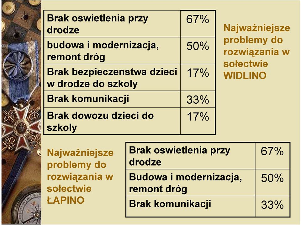 Najwa)niejsze problemy do rozwi*zania w so+ectwie WIDLINO Najwa)niejsze problemy do