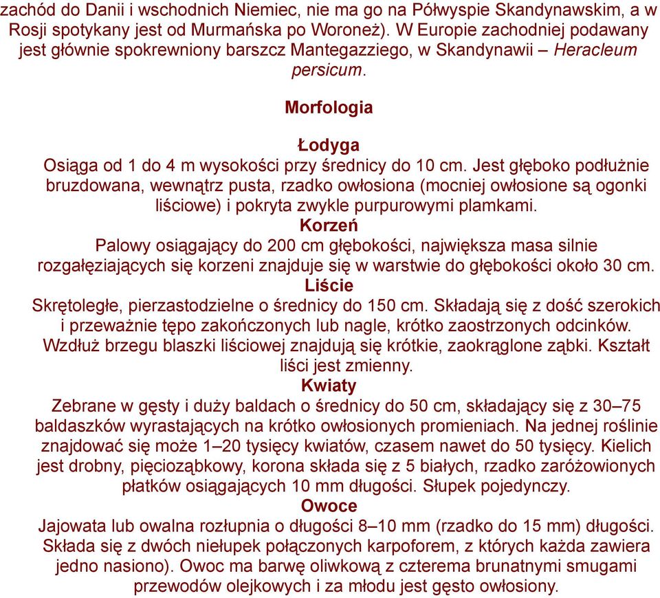 Jest głęboko podłużnie bruzdowana, wewnątrz pusta, rzadko owłosiona (mocniej owłosione są ogonki liściowe) i pokryta zwykle purpurowymi plamkami.