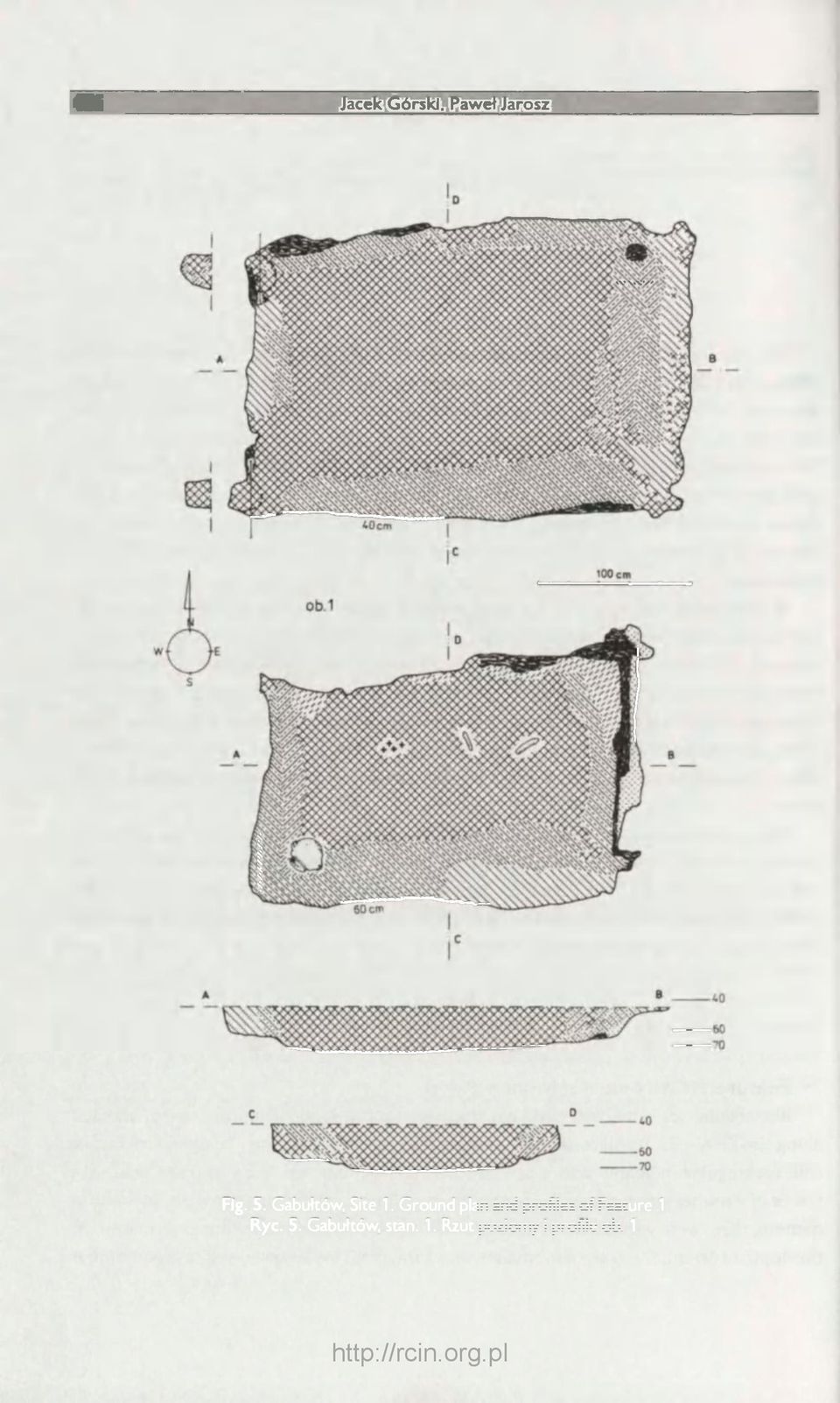 Ground plan and profiles of Feature 1