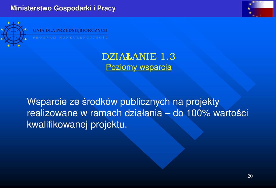 publicznych na projekty realizowane w