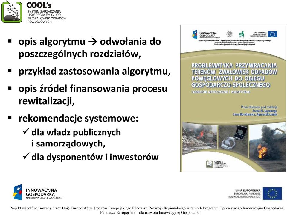 finansowania procesu rewitalizacji, rekomendacje