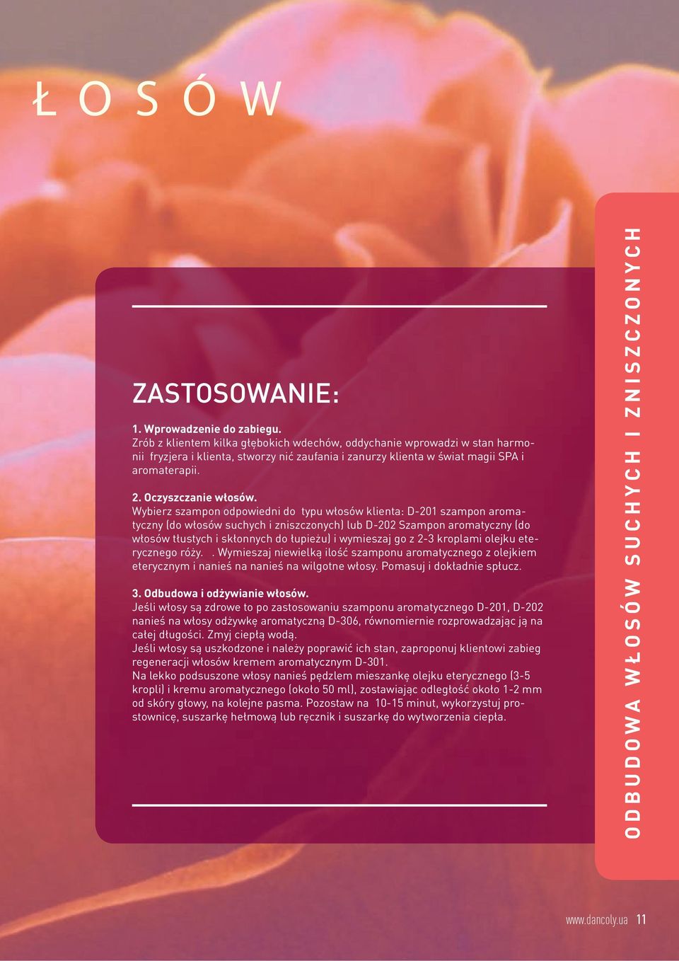 Wybierz szampon odpowiedni do typu włosów klienta: D-201 szampon aromatyczny (do włosów suchych i zniszczonych) lub D-202 Szampon aromatyczny (do włosów tłustych i skłonnych do łupieżu) i wymieszaj