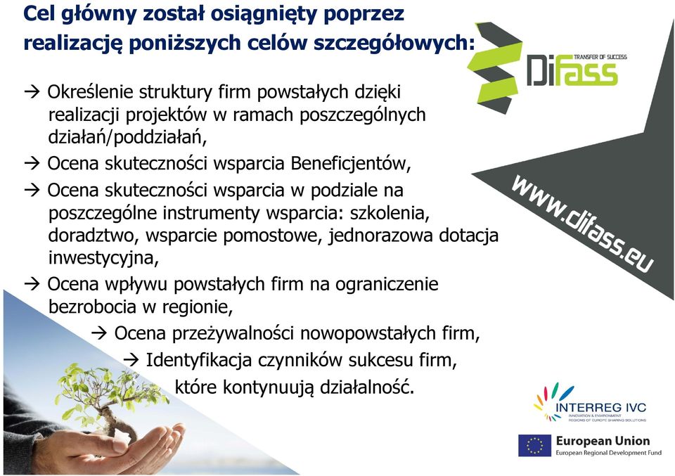 poszczególne instrumenty wsparcia: szkolenia, doradztwo, wsparcie pomostowe, jednorazowa dotacja inwestycyjna, Ocena wpływu powstałych firm