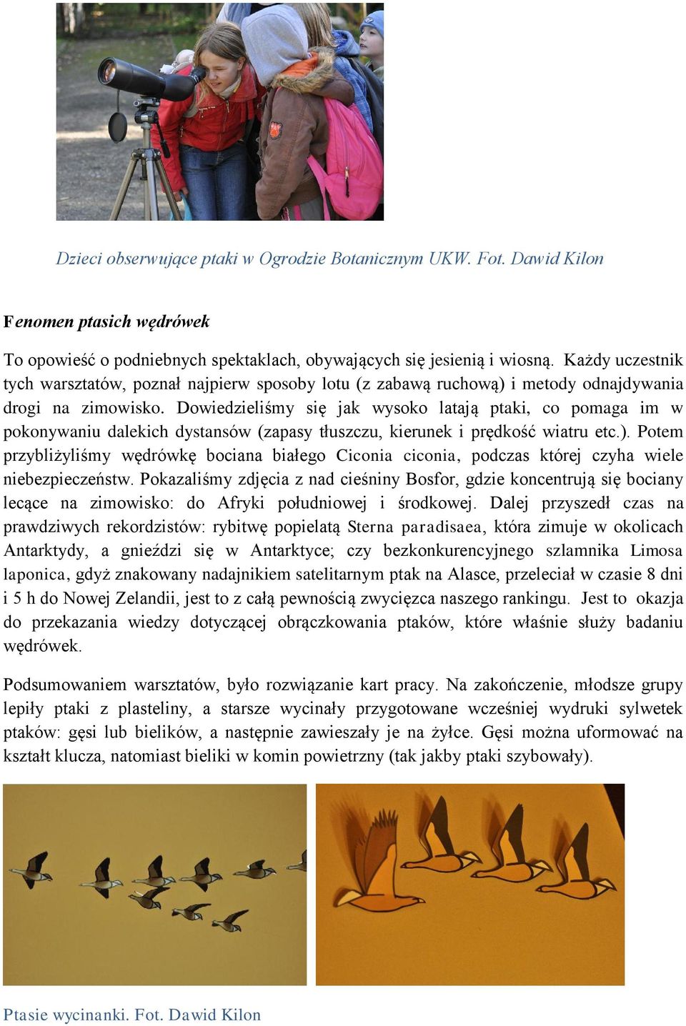 Dowiedzieliśmy się jak wysoko latają ptaki, co pomaga im w pokonywaniu dalekich dystansów (zapasy tłuszczu, kierunek i prędkość wiatru etc.).
