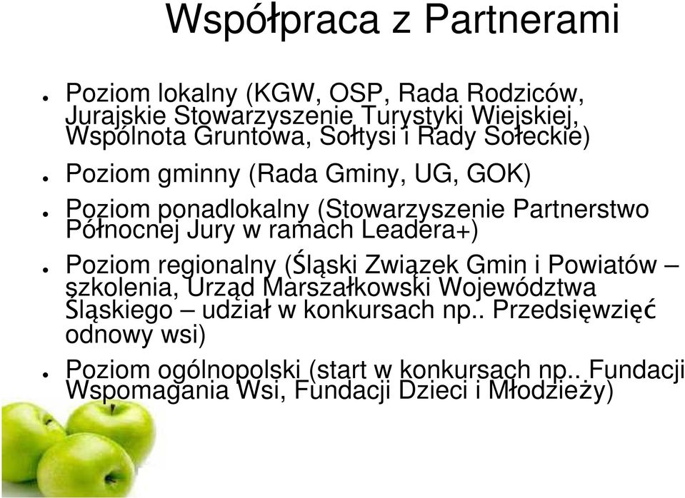 ramach Leadera+) Poziom regionalny ( l ski Zwi zek Gmin i Powiatów szkolenia, Urz d Marsza kowski Województwa l skiego udzia w