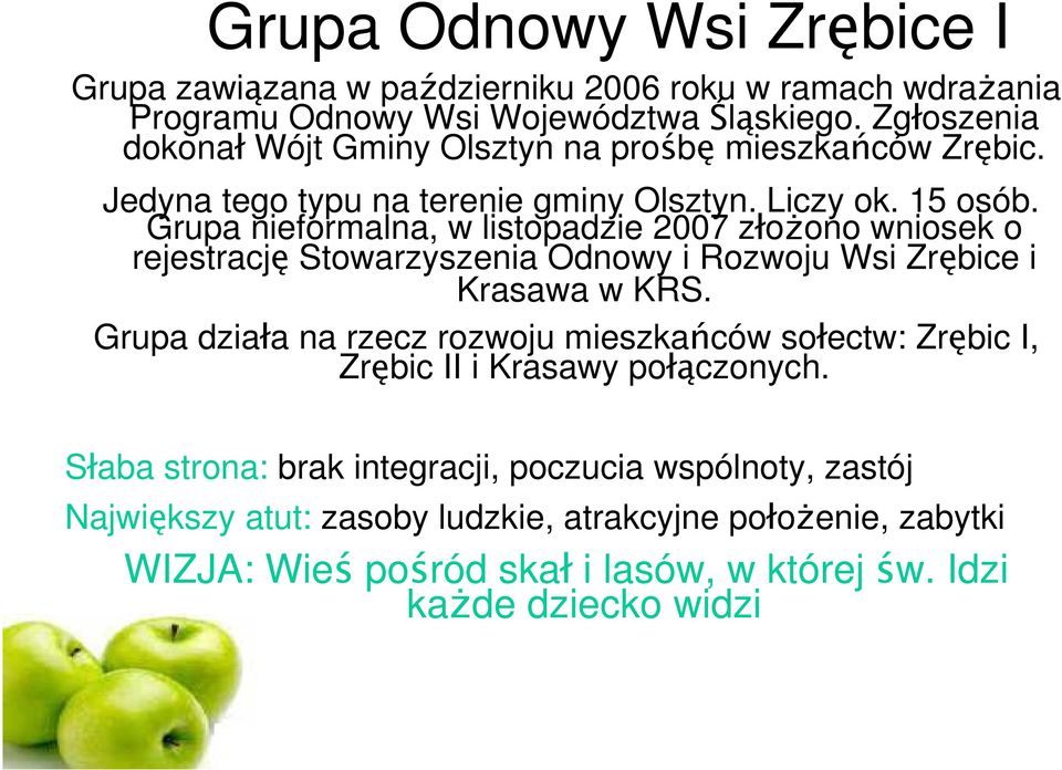 Grupa nieformalna, w listopadzie 2007 z o ono wniosek o rejestracj Stowarzyszenia Odnowy i Rozwoju Wsi Zr bice i Krasawa w KRS.