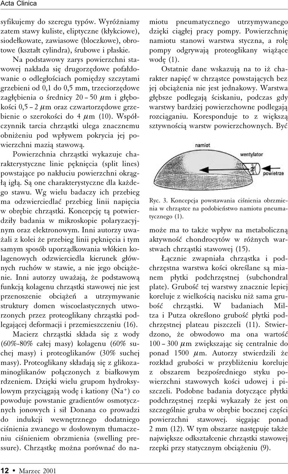 0,5 2 m oraz czwartorzædowe grzebienie o szeroko ci do 4 m (10). WspóÆczynnik tarcia chrzåstki ulega znacznemu obniºeniu pod wpæywem pokrycia jej powierzchni maziå stawowå.